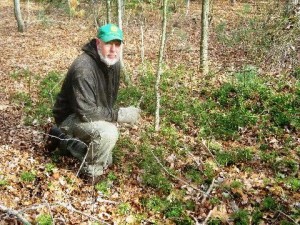 Sapia - Timmy Mechkowski and ground pine, Dec 2015