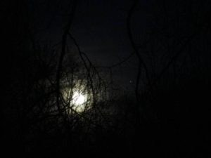 4.19.17 - Sapia - full easter moon over Manalapan Brook