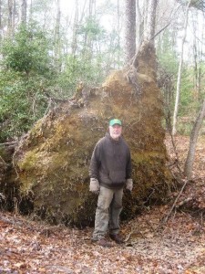 Sapia - Timmy Mechkowski in front of uprooted tree, Dec 2015